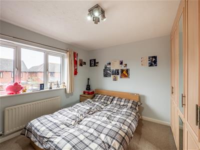 Picture 17
